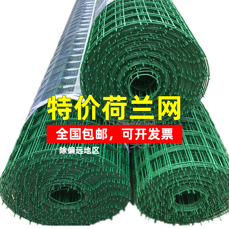 进口硬塑防锈网铁丝网养鸡网养殖防护网鱼塘围网荷兰网菜园圈地