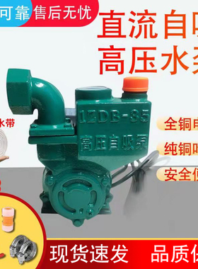 家用直流抽水机12v24v48v60v72v抽水泵水井便携式高压小型自吸泵