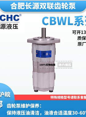 合肥长源双联齿轮泵CBWL-E310/E310-ALP 2孔,螺纹平键