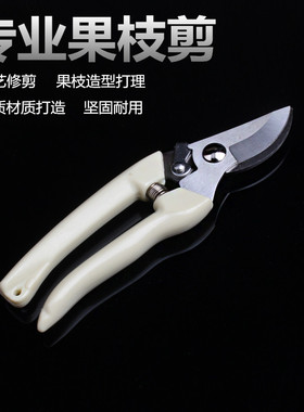园艺剪刀园林花剪修枝剪果树剪草坪绿化强力大剪刀绿篱剪修剪树枝