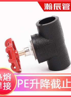 pe给水管开关升降截止阀热熔焊接阀门pe管件pe管接头自来水管配件