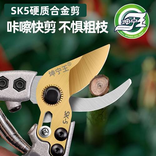 园艺剪刀剪枝剪树枝修枝剪花剪园林修剪粗枝剪子X省力花艺工具