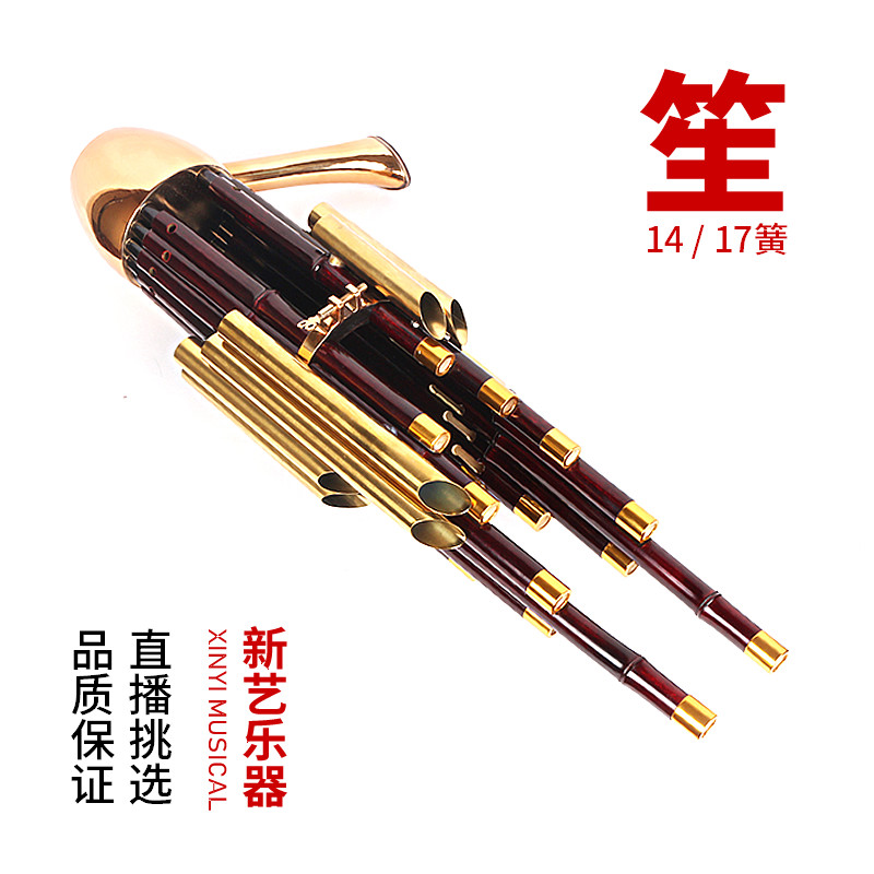 新艺17簧14簧扩音笙乐器大全圆笙方笙修笙工具竽乐器笙包初学者