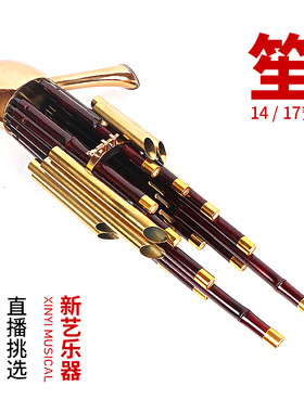 新艺17簧14簧扩音笙乐器大全圆笙方笙修笙工具竽乐器笙包初学者