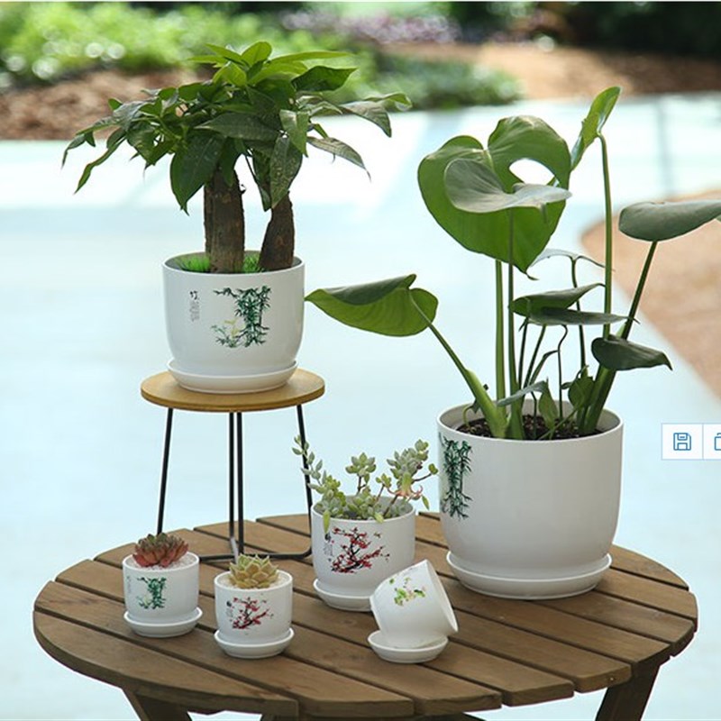 塑料花盆无孔水培碗莲盆睡莲铜钱草仿陶瓷超大号绿萝水生植物花盆