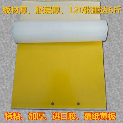 粘虫板诱虫板双面黄板蓝板覆纸膜黏虫板茶园大棚果蔬特效杀虫包邮