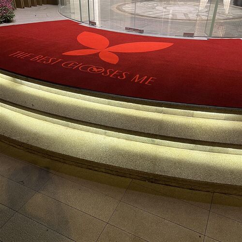 酒店大门口迎宾地毯专用定制文字logo饭店进门防滑地垫吸水加厚