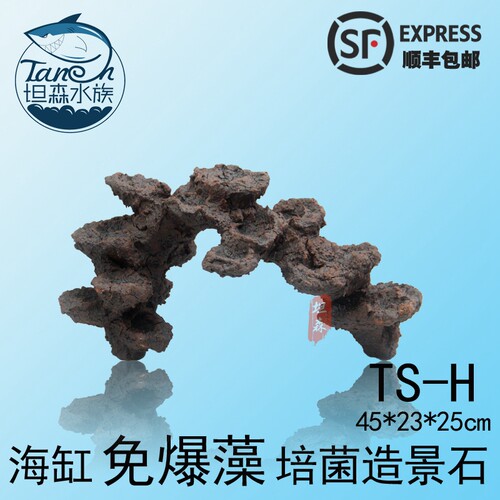 海水缸免爆藻石头快速开缸培菌造景石 人造活石海缸珊瑚P石造景石