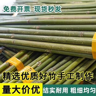 竹竿菜园搭架黄瓜豆角西红柿辣椒搭架蔬菜爬藤架子彩旗旗杆竹竿舞