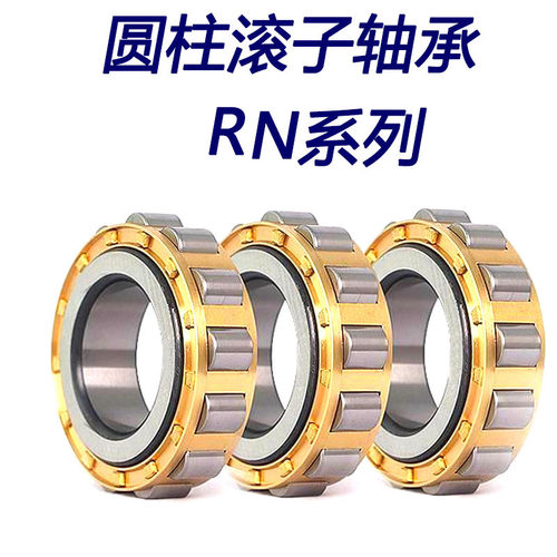 圆柱滚子轴承RN306 RN307EM RN309EM RN310EM RN312 EM减速机轴承