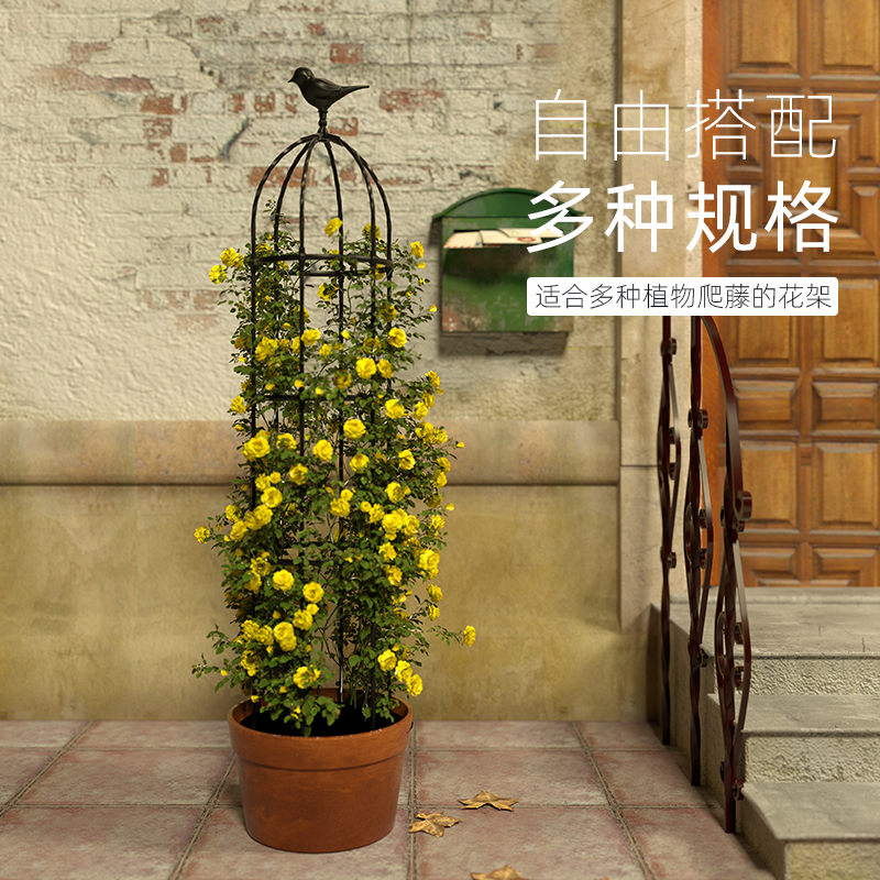 花架爬藤架月季铁线莲花支架阳台花架子花盆植物支架户外庭院园艺