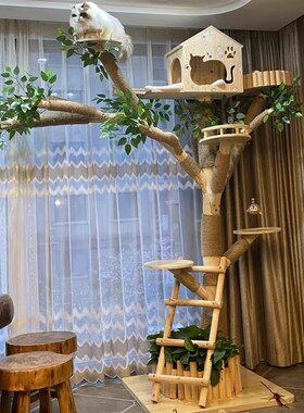 【猫爬架】特价清仓猫窝一体猫玩具猫抓板逗猫猫咪攀爬架猫树屋