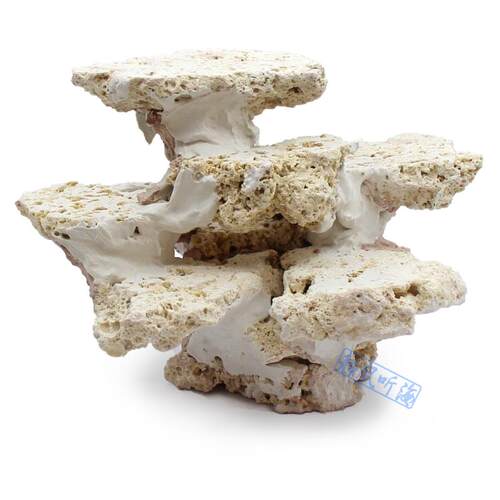 纯净半切片状死石印尼爪哇岛干岩石海缸造景石替代活石免暴藻引菌