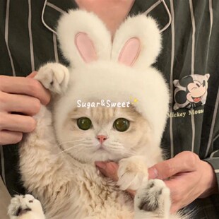 宠物兔子头套猫咪狗狗网红兔兔帽可装扮兔耳朵帽子拍照饰品新款