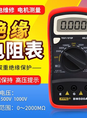滨江数字绝缘电阻测试仪 电子摇表250V500V1000V兆欧表电阻表