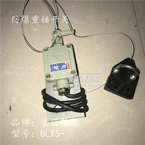 天车防爆电动葫芦防爆舱门限位器 行吊BLX-5乐清宏荣防爆行程开关