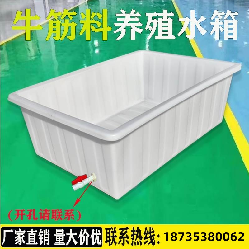 牛筋塑料水箱长方形水产养殖养鱼槽卖鱼胶盆储水桶方箱养龟箱加厚