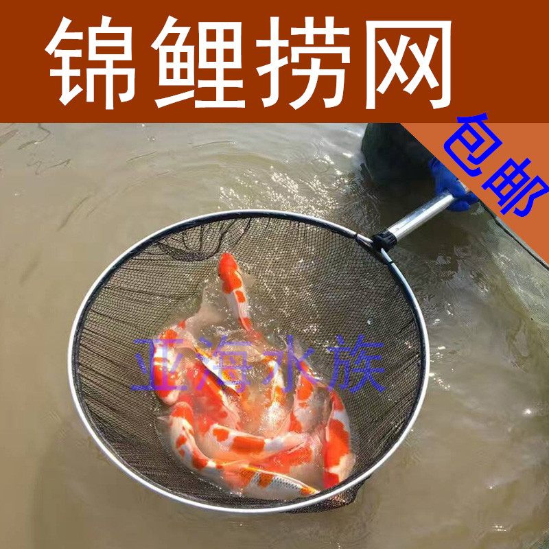 包邮 锦鲤鱼池专业手网手抄网 大捞网 伸缩网铝柄木柄
