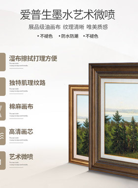 入室玄关装饰画山水风景客厅沙发背景墙挂画欧式餐厅书房画博登湖