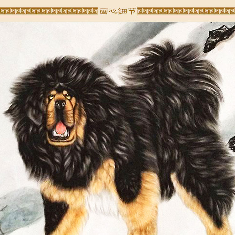 藏獒图 雪域雄风宠物狗犬动物画卷轴挂画 书房客厅装饰画定制订做
