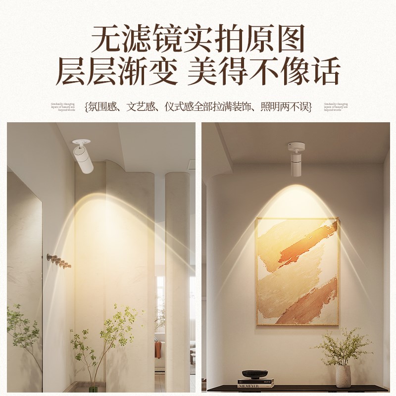 彩虹小山丘玄关射灯过道走廊氛围明装客厅家用嵌入式高级感筒灯图片