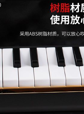 奇美口风琴24键低音专业演奏级口风琴乐队专业演奏级舞台合奏乐团
