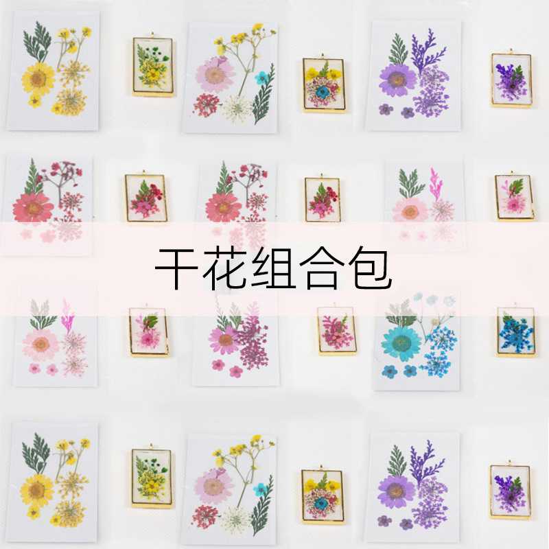 干花压花树叶植物贴画手工写真贴脸装饰水晶滴胶DIY标本创意饰品