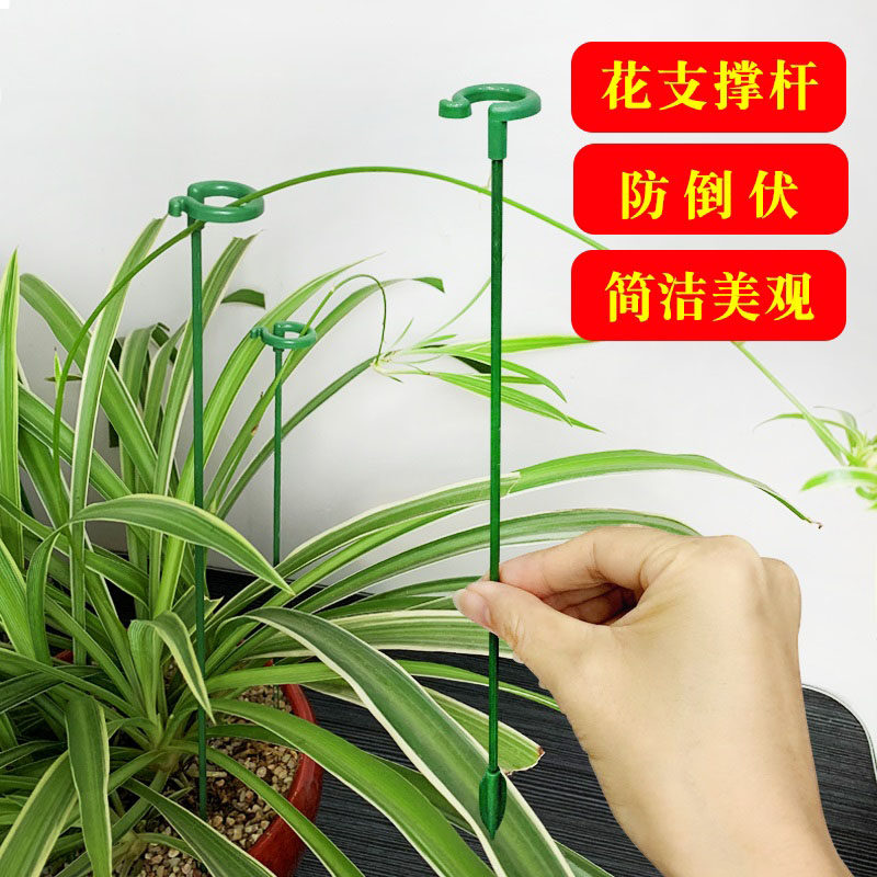 植物固定防倒伏花架子园艺支撑单杆室外花园月季爬藤种菜捆扎支架