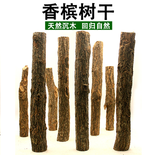 香槟树造景树干森林造景树桩雨林缸水草缸鱼缸水族天然沉木造景木