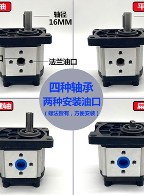 加强型齿轮泵油泵CBT-F306 CBT-F310 CBT-F316 CBT-F320 WCBT-F32