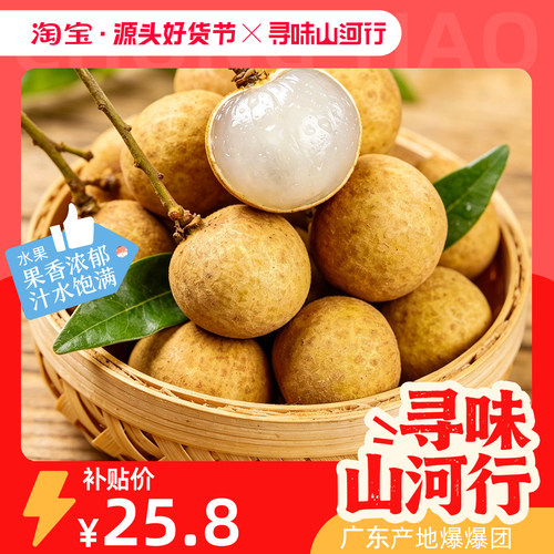 广东当季石硖龙眼精品大果水果