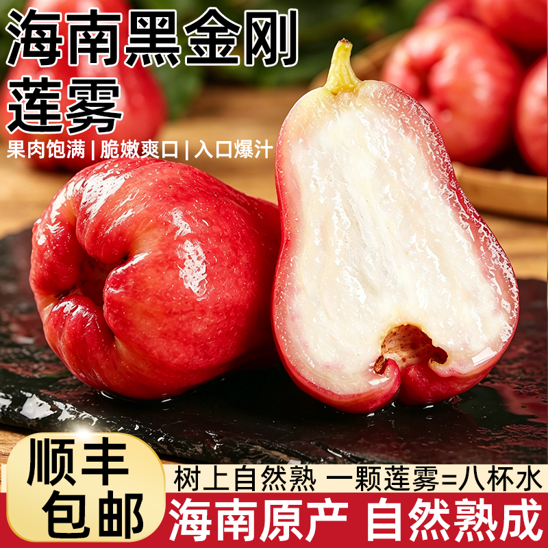 海南黑金刚莲雾【顺丰冷运包邮】
