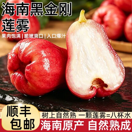 海南黑金刚莲雾树上熟清甜多汁水果新鲜当季整箱【顺丰冷运包邮】