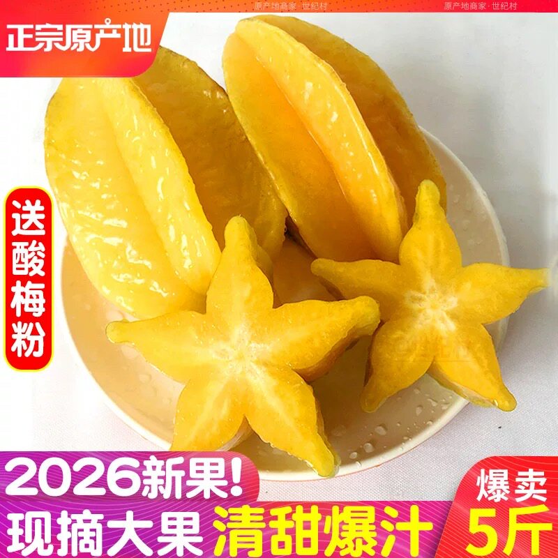 福建农家甜杨桃新鲜水果树上现摘现发黄肉爆汁杨桃果坏果包赔