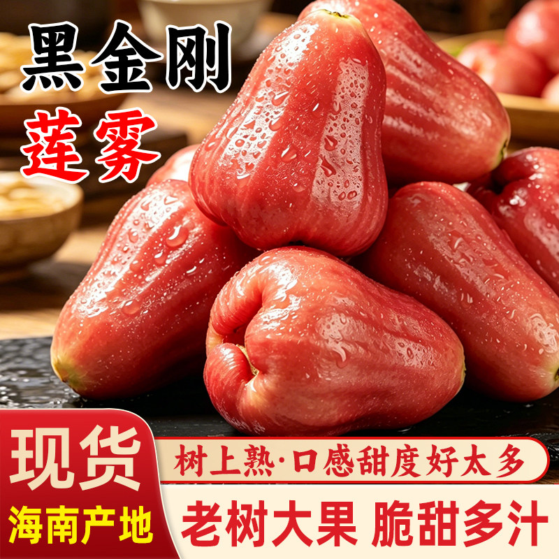 【顺丰冷运上门】海南黑金刚莲雾