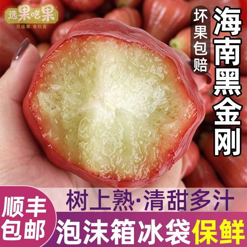 【顺丰冷运上门】海南黑金刚莲雾