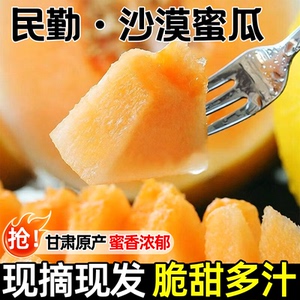 甘肃民勤蜜瓜新鲜甜瓜