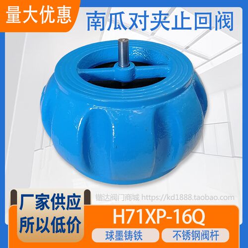 南瓜型对夹止回阀H71X-16Q不锈钢杆水管逆止阀泵房止逆阀4寸DN100