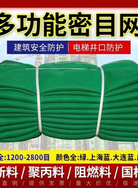 建筑外架安全网阻燃密目网电梯防坠网工地脚手架防护网绿色盖深圳