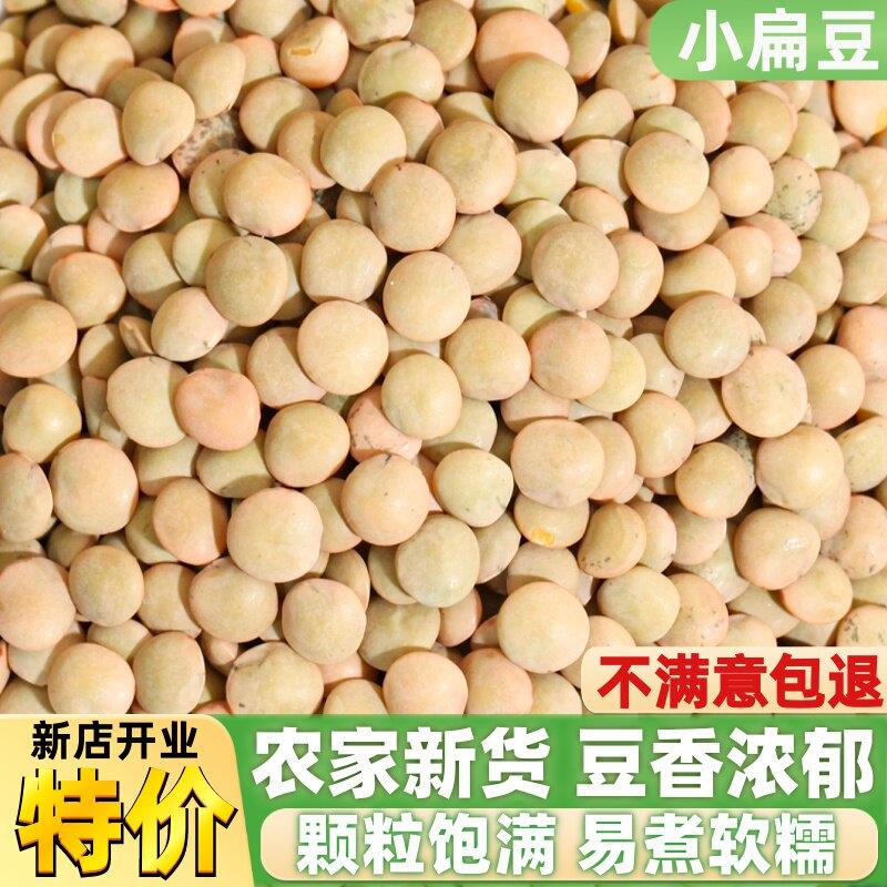 扁豆新货农家小扁豆子粗粮干货金碗豆兵豆发豆芽白扁豆面五谷杂粮