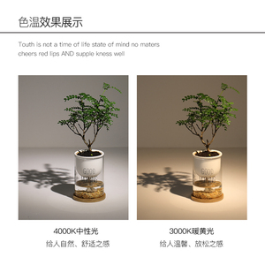 麦丹妮无主灯明装射灯LED长方形led客厅家用斗胆灯卧室三头射灯