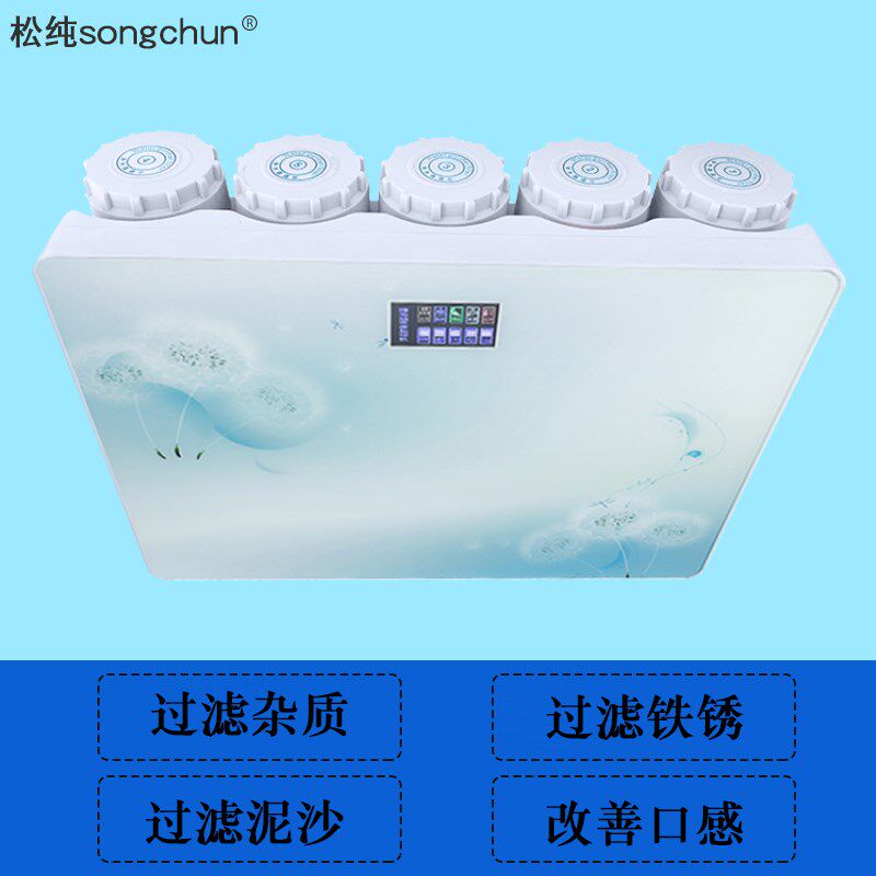 松纯净水器RO膜过滤器家用除水垢纯水机智能净水机反渗透净水器