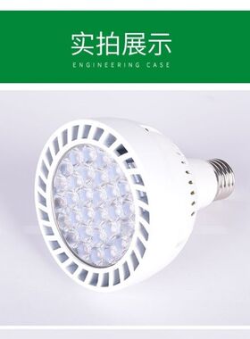 古法养鱼LED全光谱水草补光灯螺口家用聚光鱼缸爆藻用水族草缸