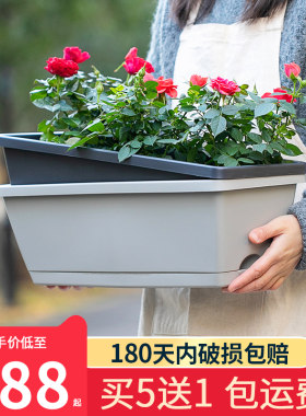 种菜神器花盆塑料家庭阳台长方形新款大号蔬菜网红种植箱种菜盆
