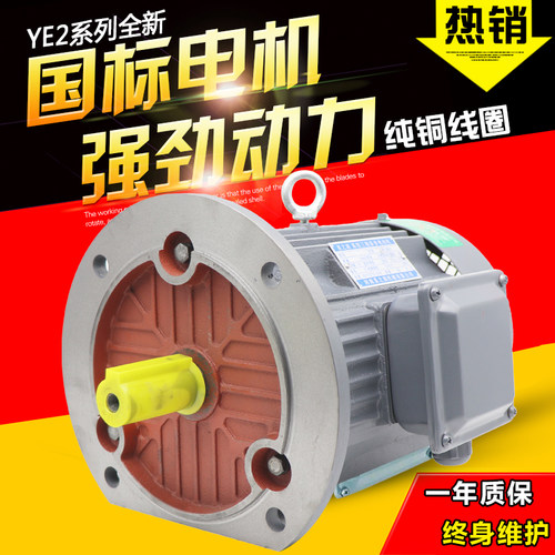 YE2三相异步电动机380V铜线电机0.55/0.75/1.1/1.5/2.2/3/4KW调速