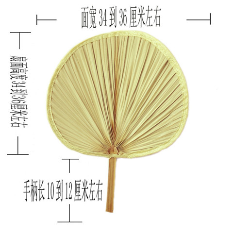 扇子大蒲扇芭蕉扇济公扇葵扇老人老式蒲草手工扇绘画扇棕叶烧烤扇图片