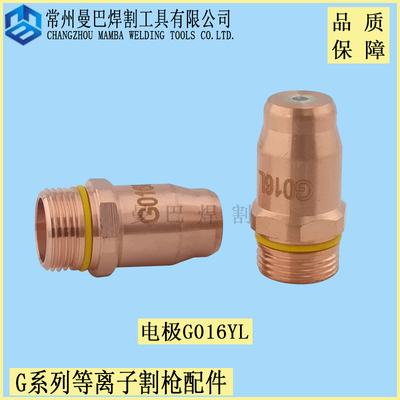 等离子电极G016YL 耗材11.848.231.360L配件G015YL G011yl G015YL