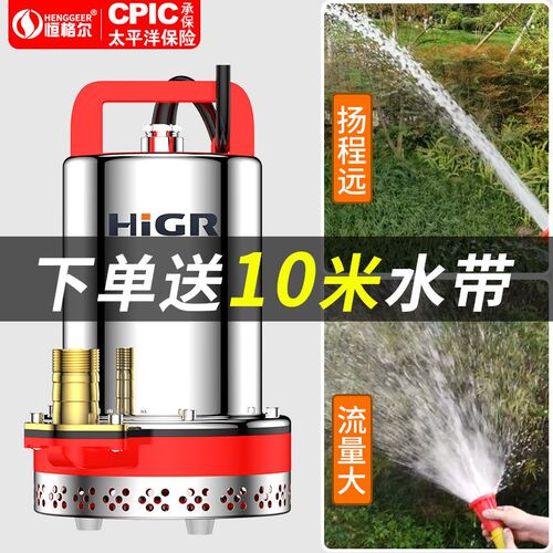 德国进口直流潜水泵12V24V48V60V伏电瓶车抽水泵小型家用农用电动