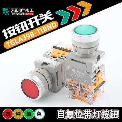 天正电气平头自复带灯位按钮开关TGLA39B(TGLA38)-11BND红绿22MM