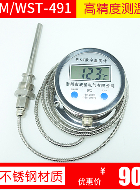 数显温度计带监视器WST/DTM491带线高精度耐酸防水数字工业测测温